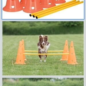 Agility Dog Training Cones with Yellow Poles